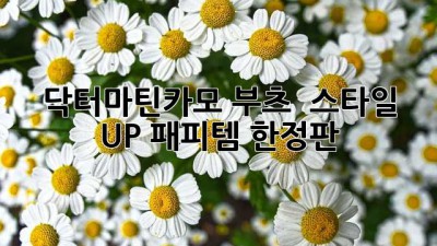 닥터마틴카모 부츠 💚 스타일 UP! #패피템 #한정판